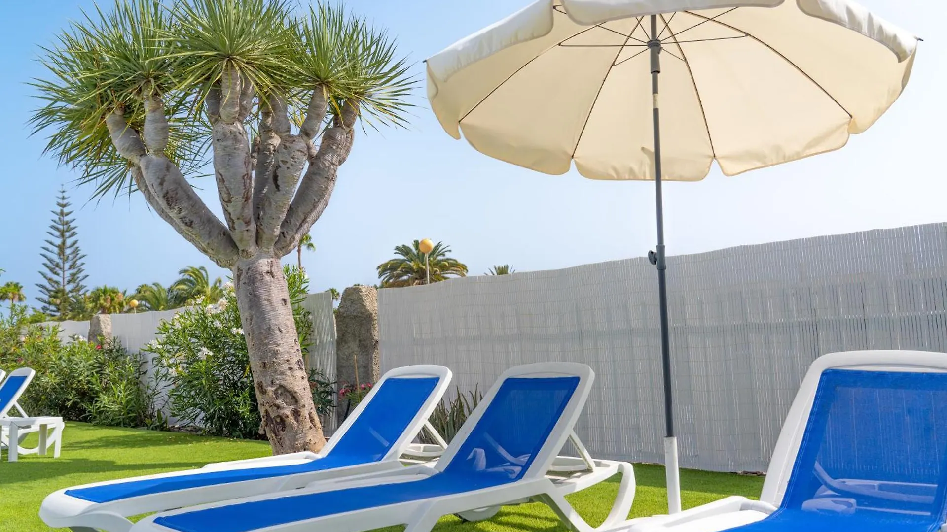 منتجع Bungalows Las Almenas ماسبالوماس