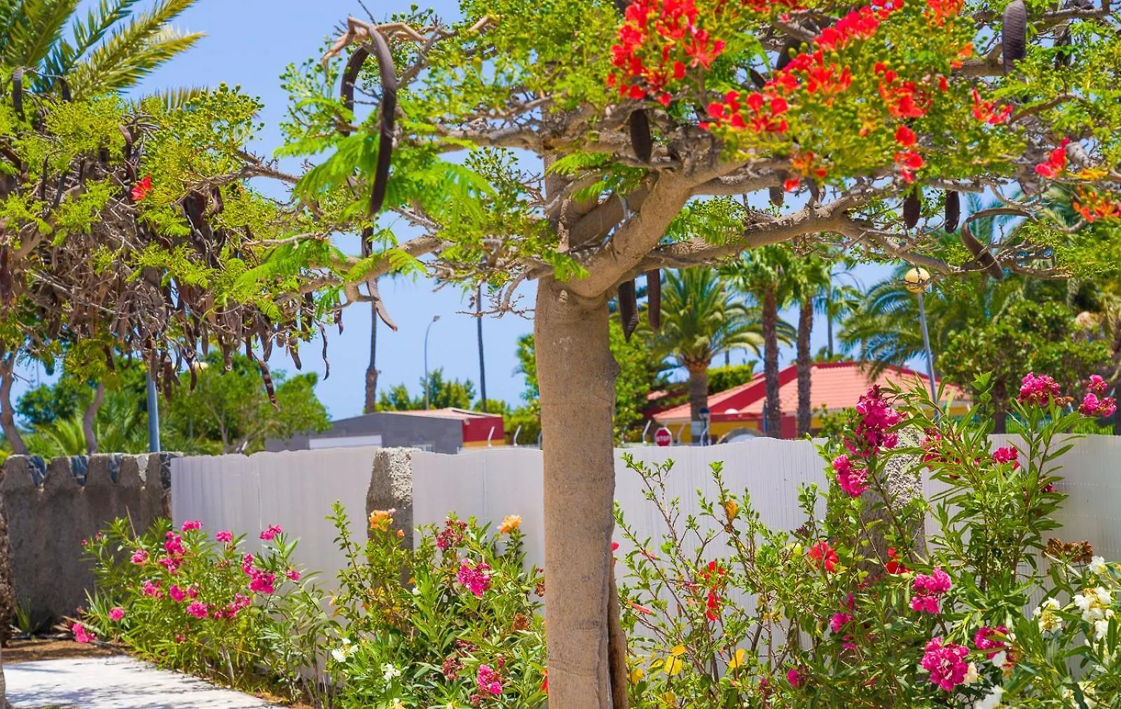 Bungalows Las Almenas ماسبالوماس إسبانيا