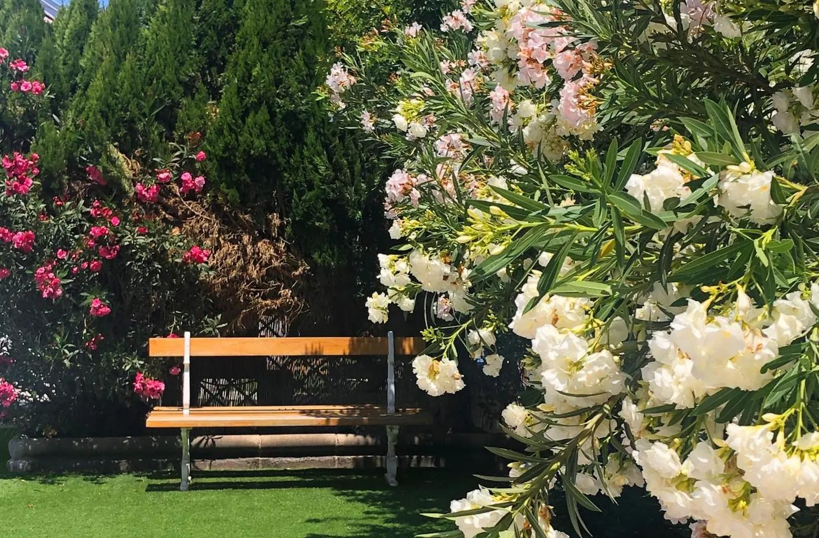 منتجع Bungalows Las Almenas ماسبالوماس
